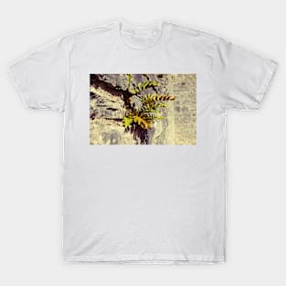 Sunbaked T-Shirt